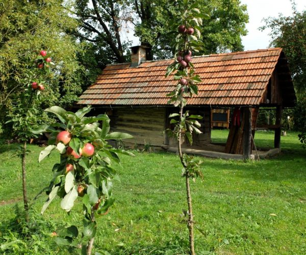 Foto archiv Centrum Veronica Hostětín (5)