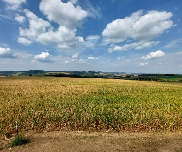 Gravelová paráda vinařským Slováckem_foto Konikoniciwa (4)